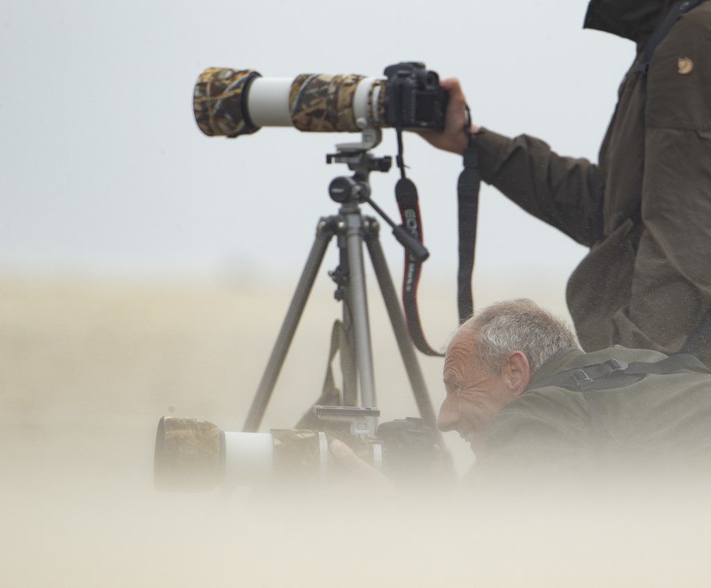 Vogelfotografen fotograferen op het stand met laag standpunt