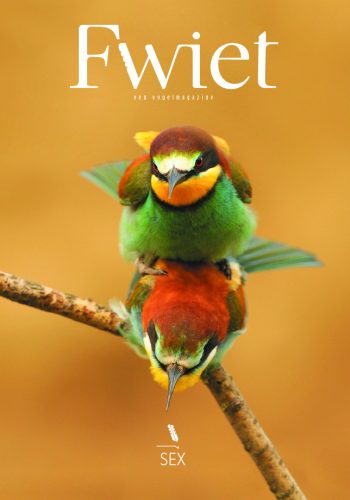 recensie-vogelmagazine-fwiet-sex
