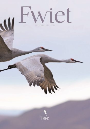 recensie-vogelmagazine-fwiet-trek