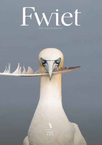 recensie-vogelmagazine-fwiet-zee