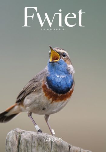 recensie-vogelmagazine-fwiet-zangers
