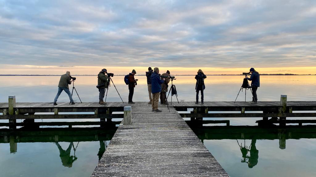 Vogelwerkgroep: Op zoek naar de parelduiker in de schemering tijdens een excursie in Zeeland - Noordzijde Grevelingenmeer (ZH).