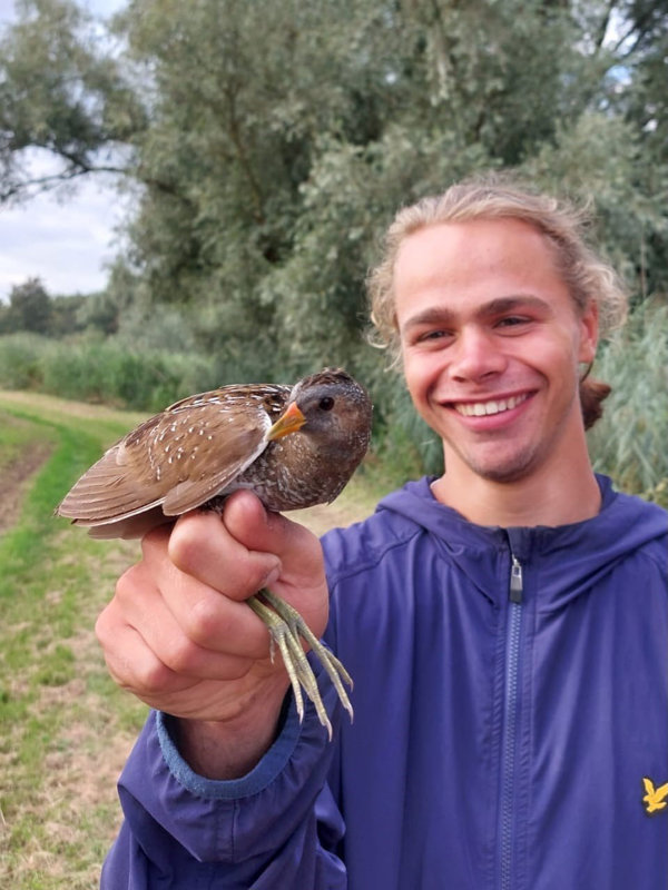 Michael van Beveren: Helpen met vogels ringen.
